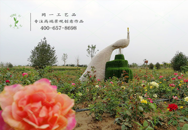 仿真绿雕白孔雀造型