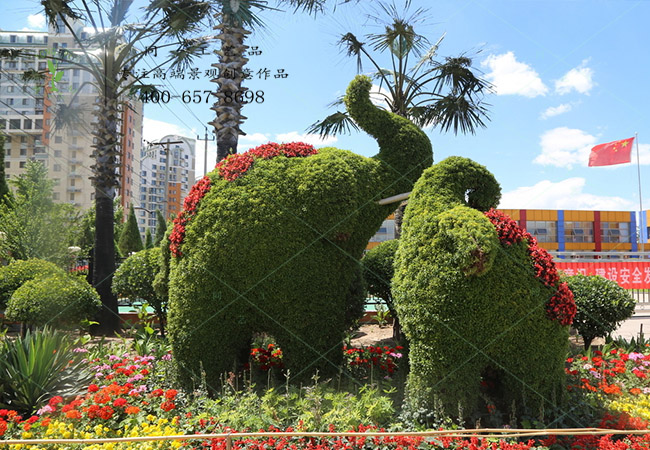 植物绿雕大象组合造型