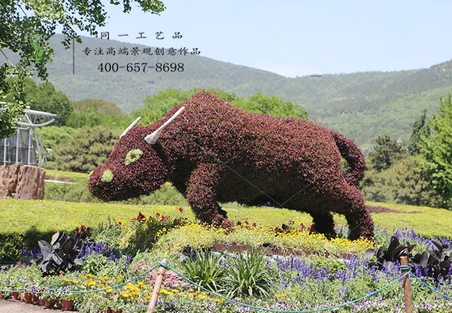 植物绿雕动物牛造型