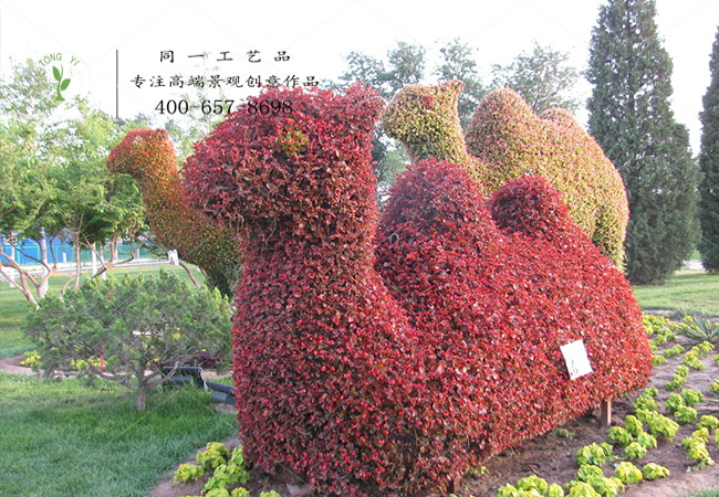 植物绿雕骆驼组合造型