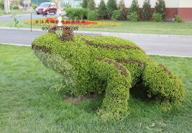 植物绿雕青蛙造型